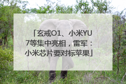 玄戒O1、小米YU7等集中亮相，雷军：小米芯片要对标苹果