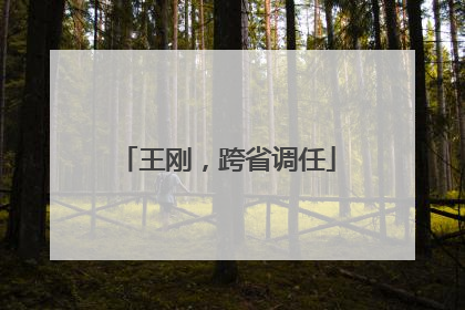 王刚，跨省调任