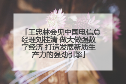 王忠林会见中国电信总经理刘桂清 做大做强数字经济 打造发展新质生产力的强劲引擎