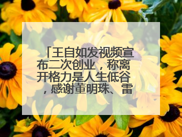 王自如发视频宣布二次创业，称离开格力是人生低谷，感谢董明珠、雷军，还回应了“工资条”：清楚自己要什么……