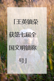 王英镇荣获第七届全国文明镇称号