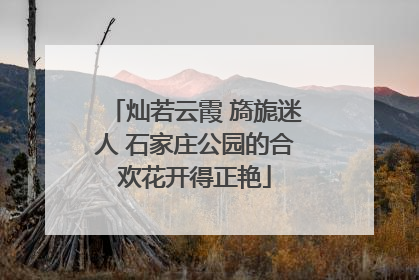灿若云霞 旖旎迷人 石家庄公园的合欢花开得正艳