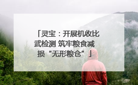 灵宝：开展机收比武检测 筑牢粮食减损“无形粮仓”