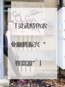 灵武特色农业翻腾振兴“致富浪”