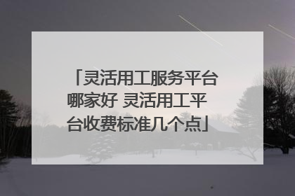 灵活用工服务平台哪家好 灵活用工平台收费标准几个点