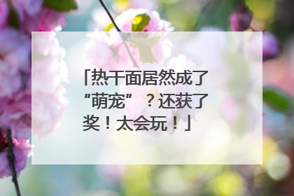 热干面居然成了“萌宠”？还获了奖！太会玩！