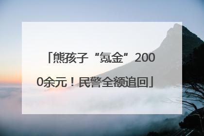熊孩子“氪金”2000余元！民警全额追回