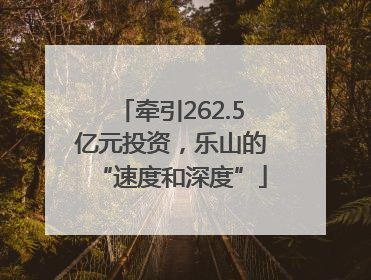 牵引262.5亿元投资，乐山的“速度和深度”
