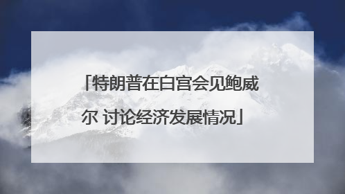 特朗普在白宫会见鲍威尔 讨论经济发展情况