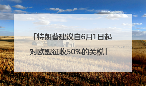 特朗普建议自6月1日起对欧盟征收50%的关税