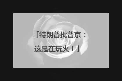特朗普批普京：这是在玩火！