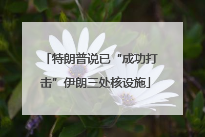 特朗普说已“成功打击”伊朗三处核设施
