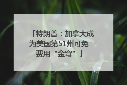 特朗普：加拿大成为美国第51州可免费用“金穹”