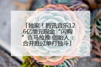 独家！腾讯音乐12.6亿美元现金“闪购”喜马拉雅 创始人：合并胜过单打独斗