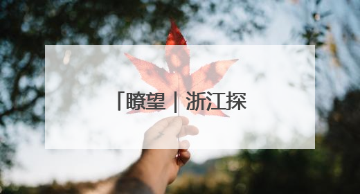 瞭望｜浙江探路高效能治理