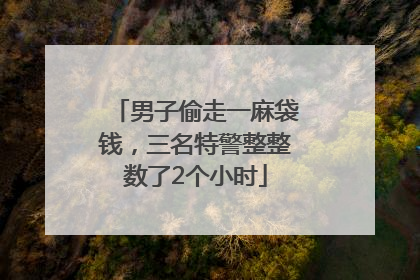男子偷走一麻袋钱，三名特警整整数了2个小时