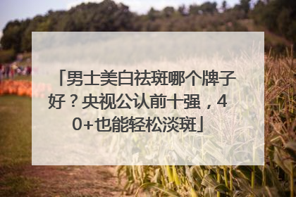 男士美白祛斑哪个牌子好？央视公认前十强，40+也能轻松淡斑