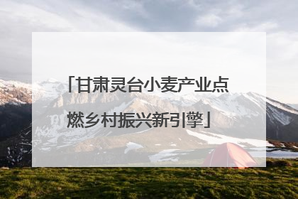 甘肃灵台小麦产业点燃乡村振兴新引擎