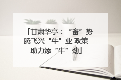 甘肃华亭：“畜”势腾飞兴“牛”业 政策助力添“牛”劲