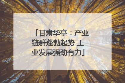 甘肃华亭：产业链群蓬勃起势 工业发展强劲有力