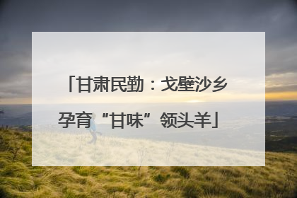 甘肃民勤：戈壁沙乡孕育“甘味”领头羊