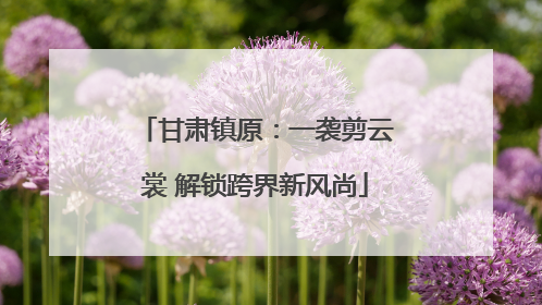 甘肃镇原：一袭剪云裳 解锁跨界新风尚