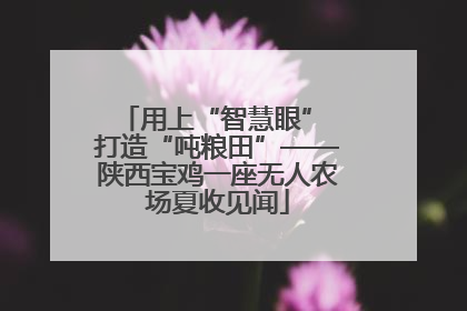 用上“智慧眼” 打造“吨粮田”——陕西宝鸡一座无人农场夏收见闻