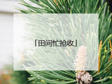 田间忙抢收
