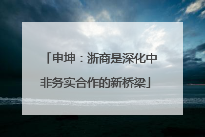 申坤：浙商是深化中非务实合作的新桥梁