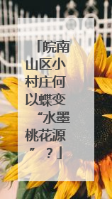 皖南山区小村庄何以蝶变“水墨桃花源”？