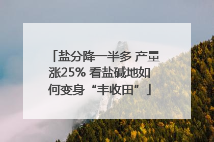 盐分降一半多 产量涨25% 看盐碱地如何变身“丰收田”