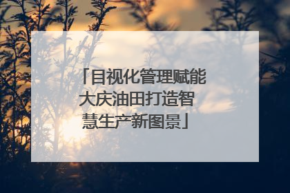 目视化管理赋能 大庆油田打造智慧生产新图景