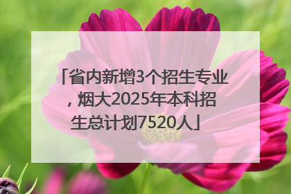 省内新增3个招生专业，烟大2025年本科招生总计划7520人