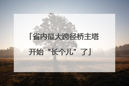 省内最大跨径桥主塔开始“长个儿”了