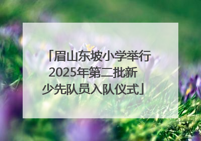 眉山东坡小学举行2025年第二批新少先队员入队仪式