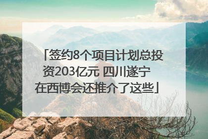 签约8个项目计划总投资203亿元 四川遂宁在西博会还推介了这些