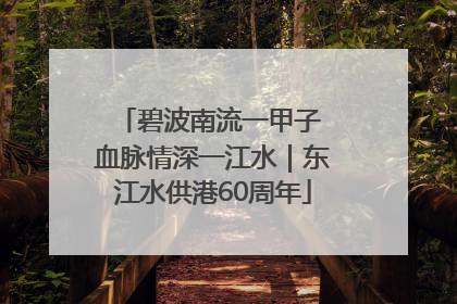 碧波南流一甲子 血脉情深一江水｜东江水供港60周年
