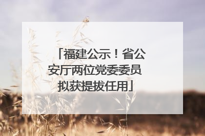 福建公示！省公安厅两位党委委员拟获提拔任用
