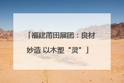 福建莆田展团：良材妙造 以木塑“灵”