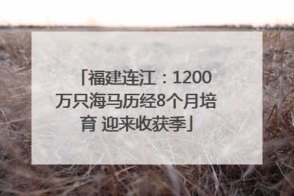 福建连江：1200万只海马历经8个月培育 迎来收获季