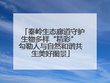 秦岭生态廊道守护生物多样“精彩” 勾勒人与自然和谐共生美好图景