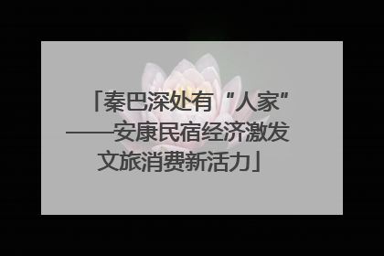秦巴深处有“人家”——安康民宿经济激发文旅消费新活力