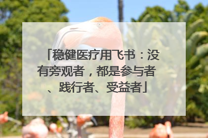 稳健医疗用飞书：没有旁观者，都是参与者、践行者、受益者
