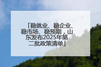 稳就业、稳企业、稳市场、稳预期，山东发布2025年第二批政策清单