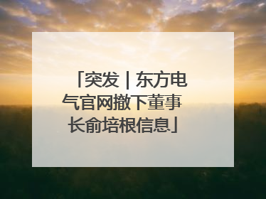 突发｜东方电气官网撤下董事长俞培根信息