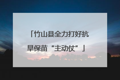 竹山县全力打好抗旱保苗“主动仗”