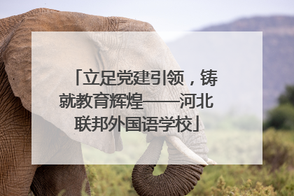 立足党建引领，铸就教育辉煌——河北联邦外国语学校