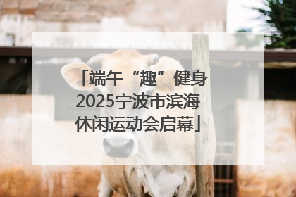 端午“趣”健身 2025宁波市滨海休闲运动会启幕