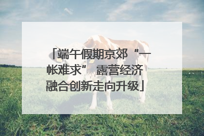 端午假期京郊“一帐难求” 露营经济融合创新走向升级