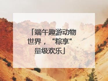 端午趣游动物世界，“粽享”量级欢乐